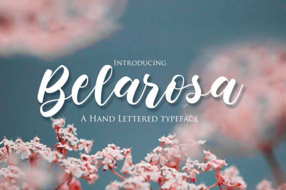 Belarosa: A Charming Script Font for Web Design