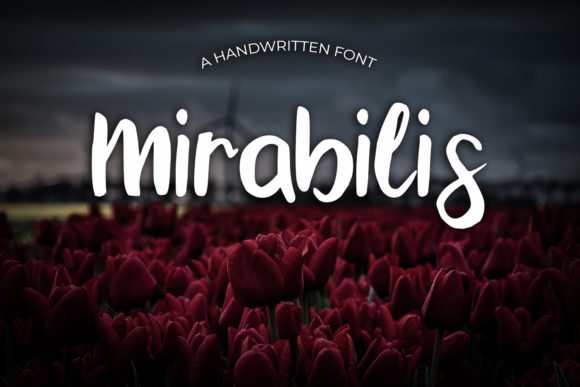 Mirabilis: A Font for Creative Campaigns