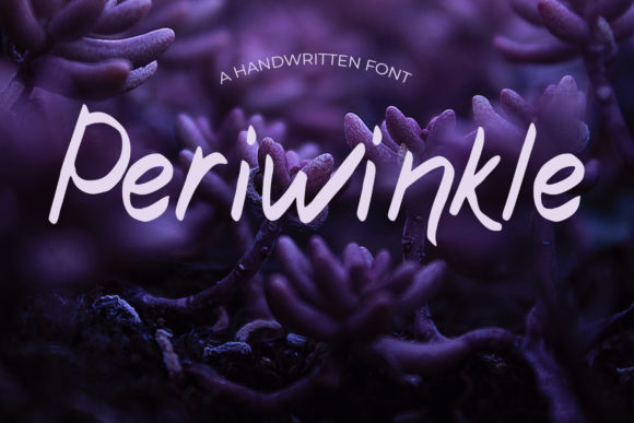 Periwinkle Font Review